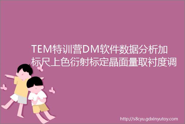 TEM特训营DM软件数据分析加标尺上色衍射标定晶面量取衬度调整EELS分析高分辨图像信息挖掘