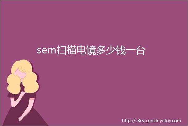 sem扫描电镜多少钱一台