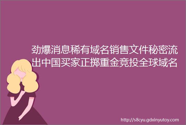 劲爆消息稀有域名销售文件秘密流出中国买家正掷重金竞投全球域名新贵helliphellip