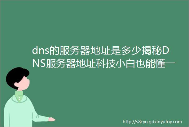 dns的服务器地址是多少揭秘DNS服务器地址科技小白也能懂一键查询网速飞跃你值得拥有