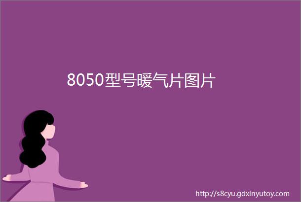 8050型号暖气片图片