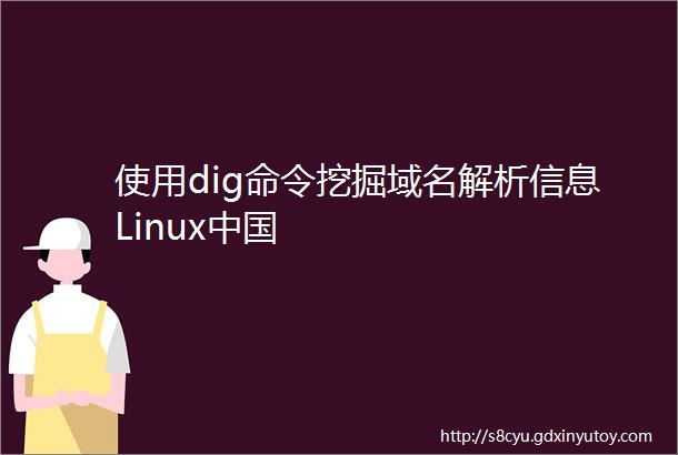使用dig命令挖掘域名解析信息Linux中国