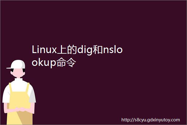 Linux上的dig和nslookup命令
