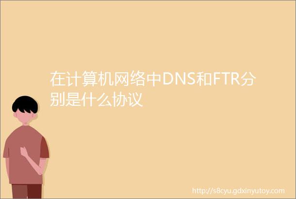 在计算机网络中DNS和FTR分别是什么协议