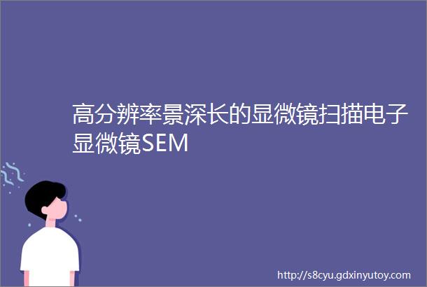 高分辨率景深长的显微镜扫描电子显微镜SEM