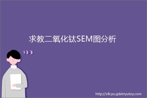 求教二氧化钛SEM图分析