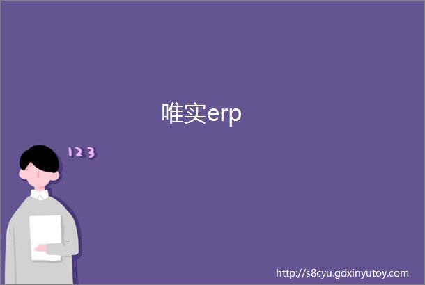 唯实erp