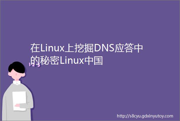 在Linux上挖掘DNS应答中的秘密Linux中国