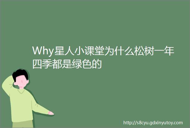 Why星人小课堂为什么松树一年四季都是绿色的