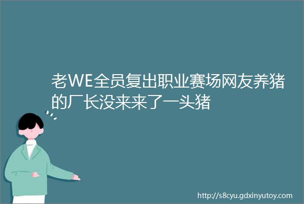 老WE全员复出职业赛场网友养猪的厂长没来来了一头猪